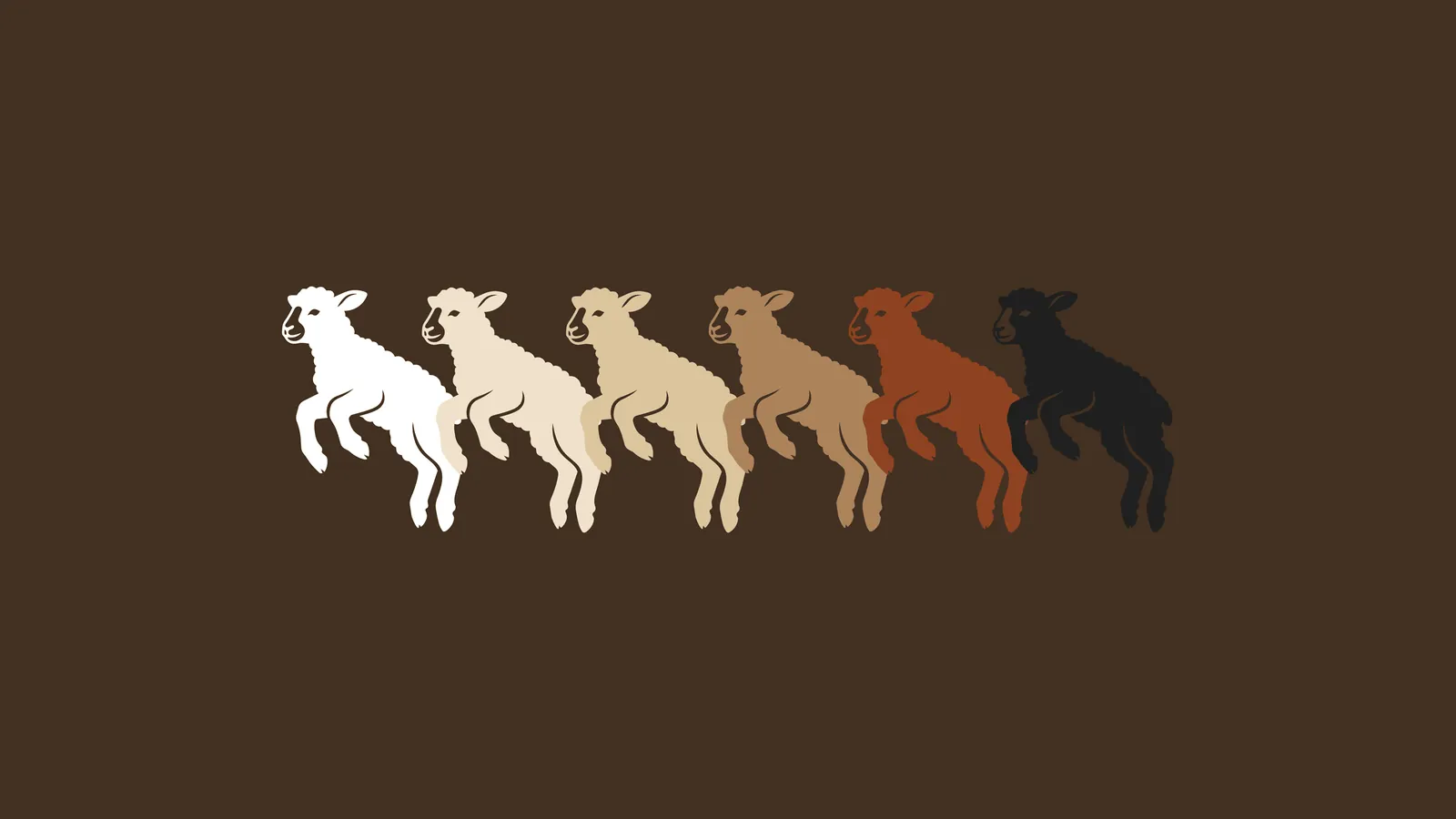 Ovelhas saltando nas cores da paleta da The Sheep T-Shirteria